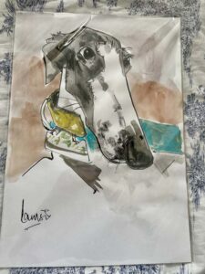 Personalised A3 Pet Portrait / Pen & Ink with Watercolour