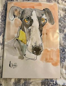 Personalised A3 Pet Portrait / Pen & Ink with Watercolour