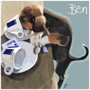 Custom Pet Portraits