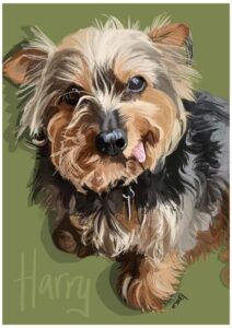 Custom Pet Portraits