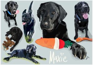 Custom Pet Portraits