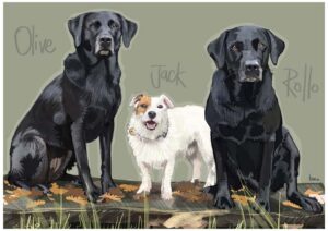 Custom Pet Portraits