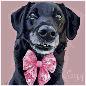 Custom Pet Portraits